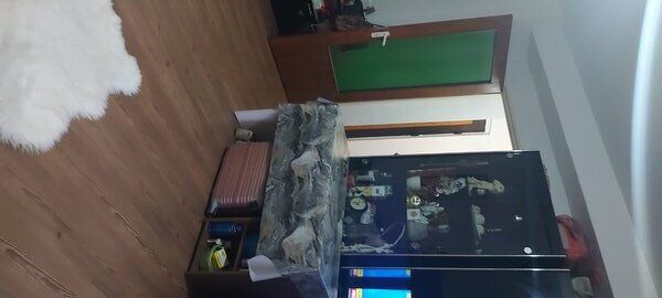 Colentina Rau,